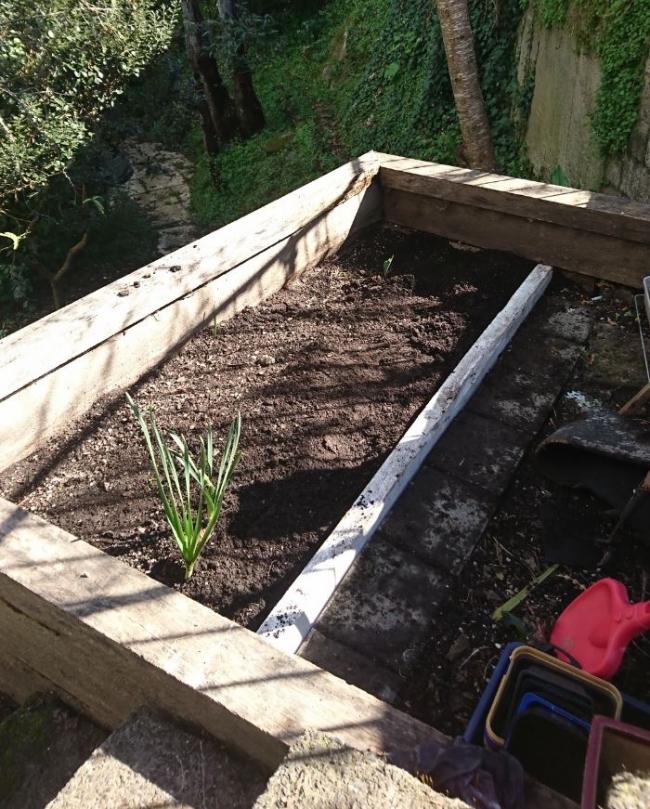 Cut flower bed